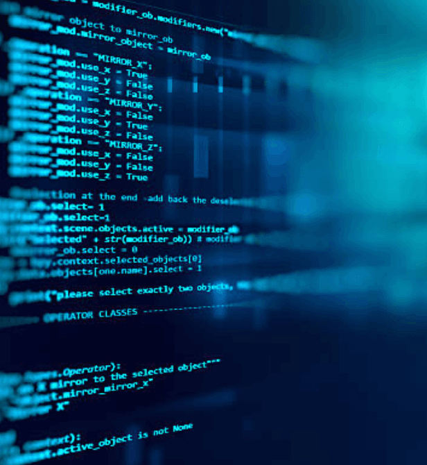 Custom software development